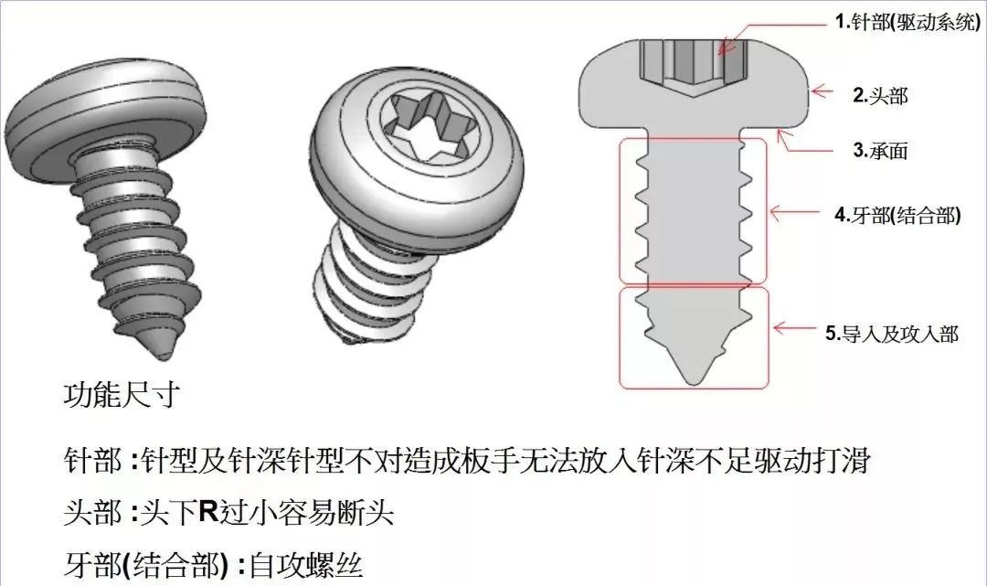 三角牙螺丝 ▼